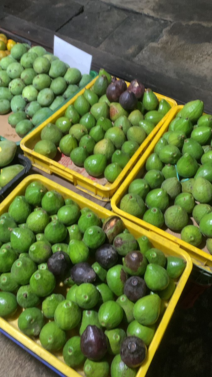 pendik24jam tweet media