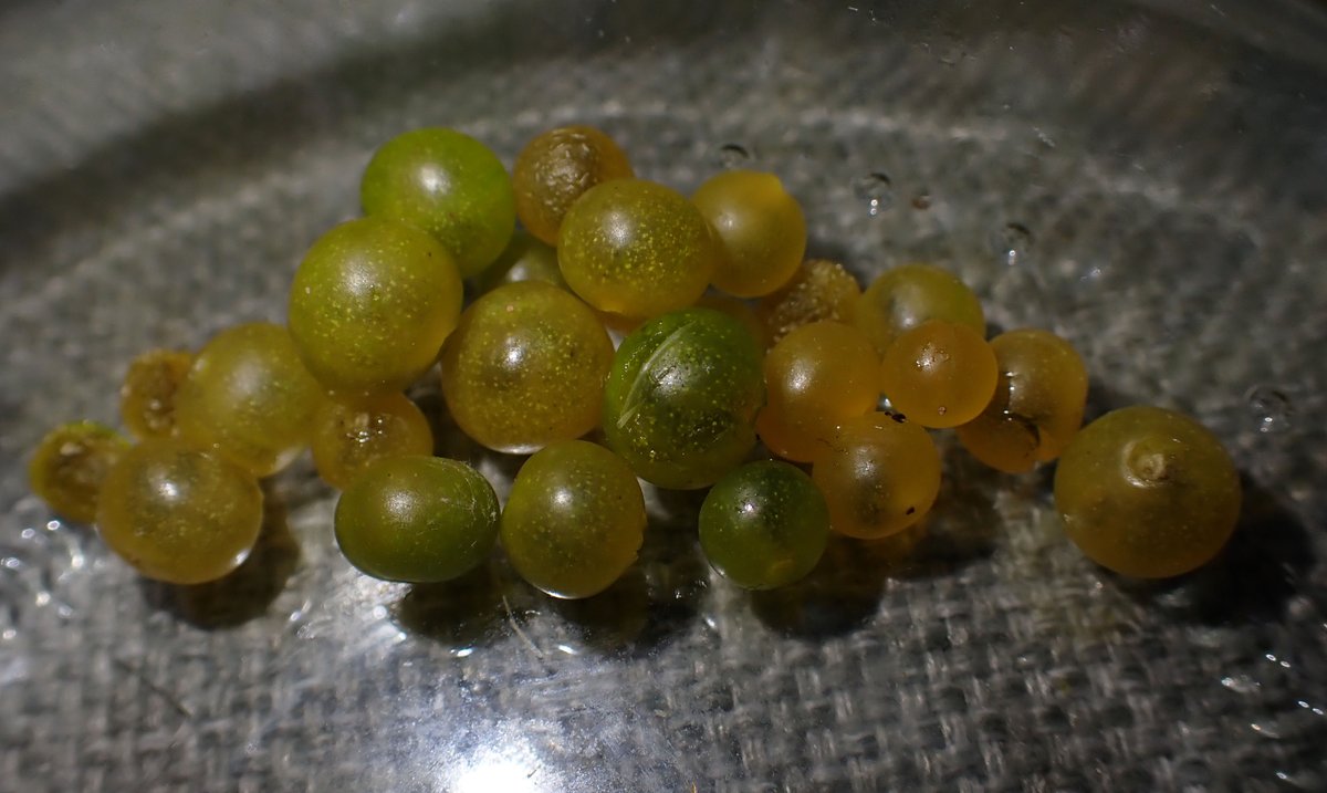 Chris Fowler tweet media