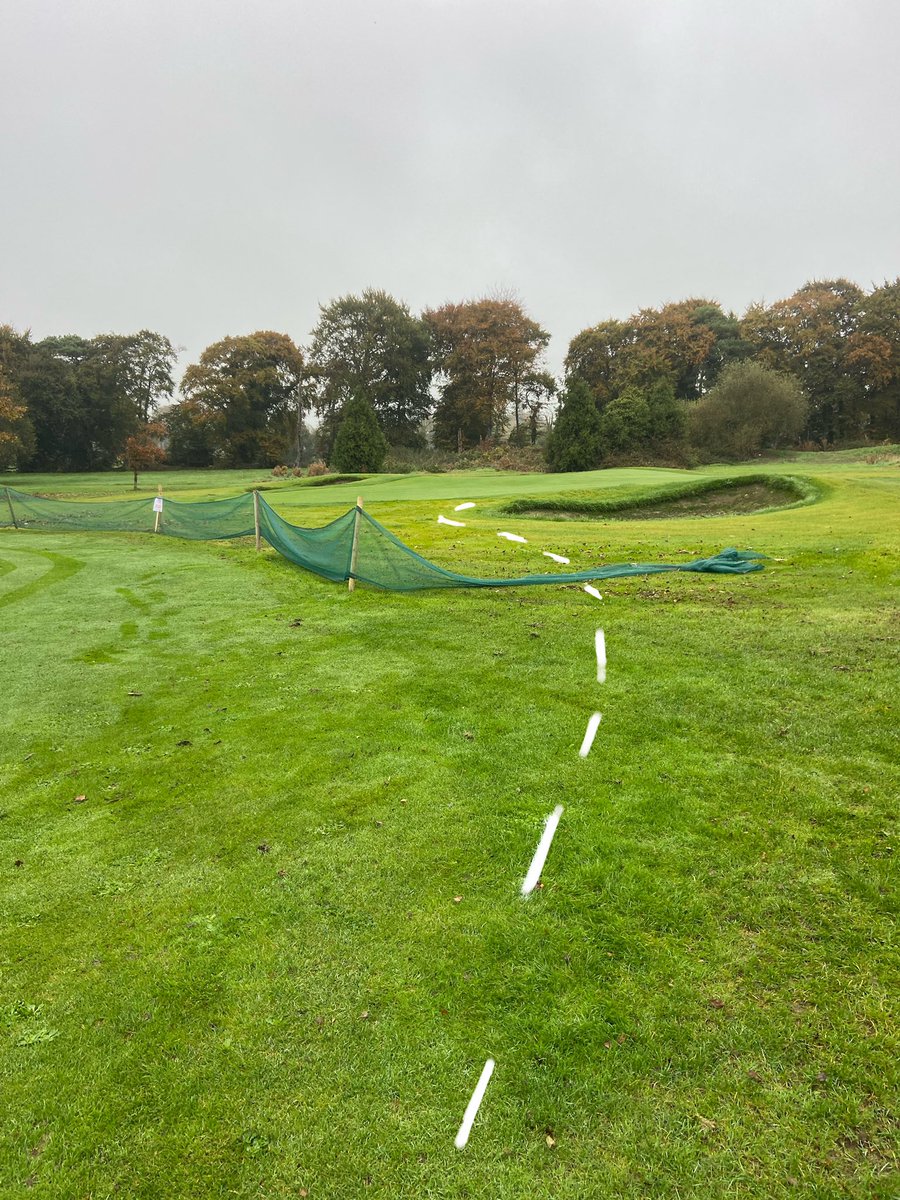 David A. Minogue tweet media