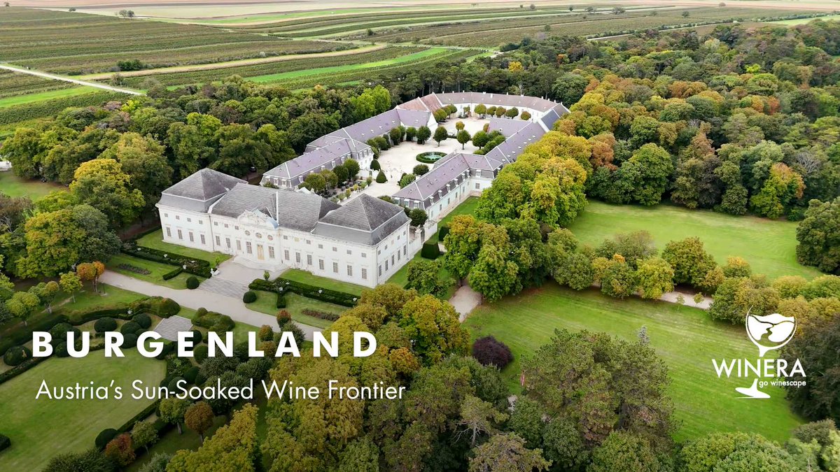 #Burgenland, Austria’s sun-drenched #wine frontier, stretches along the Hungarian border where the warm Pannonian climate meets diverse soils, creating ideal conditions for bold reds, refined whites &amp; world-class sweet wines!
Read more: tinyurl.com/yas45whz
#Winera #Traveller