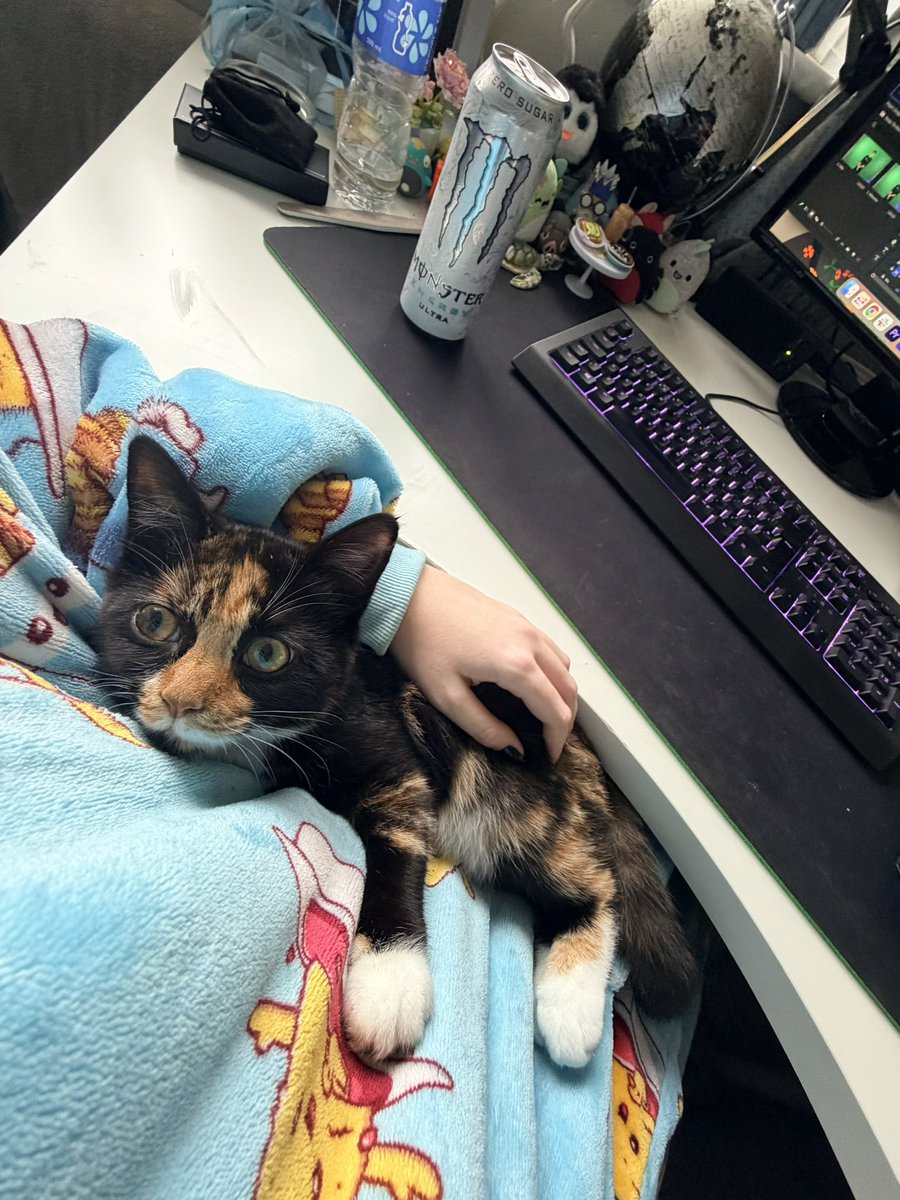 look at this baby🫶🏻