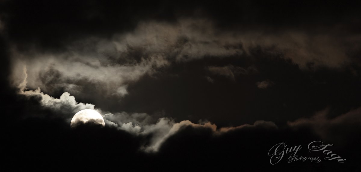 FearAndLoading's tweet image. Happy #Halloween. #FearAndLoading