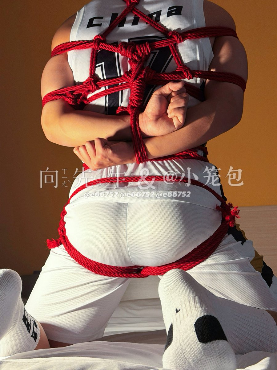 小向先生 tweet media