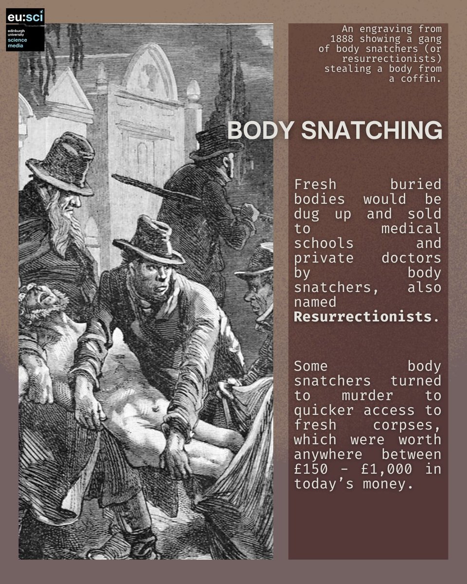 eusci's tweet image. The Murder case of Burke and Hare from 19th century Edinburgh led to the Anatomy Act of 1832 for greater legal access to corpses for teaching purposes. Until today, Burke’s skeleton is displayed at the Anatomical Museum at UoE.🍂Read more below! 
#ScienceComm #Halloween #EuSci