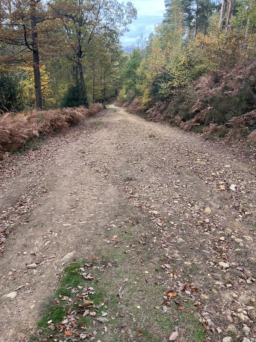 Pressure builds in the #SurreyHills. Latest instalment from WidespreadDisruption.blog
#Dorking #Hypertension #PitchHill