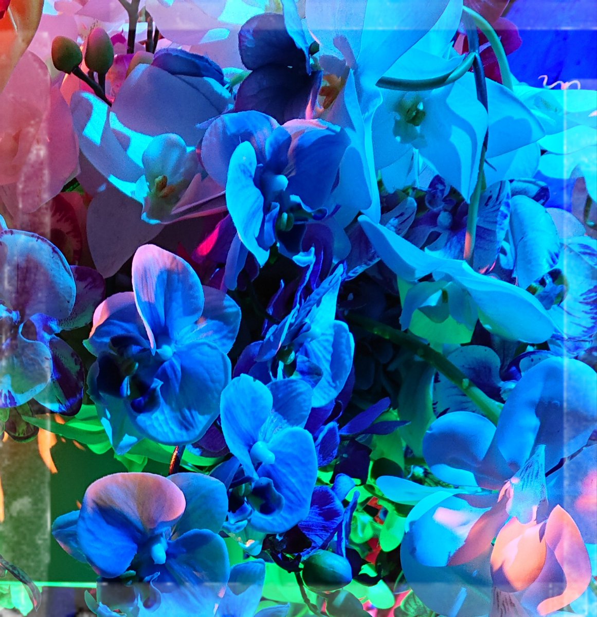 青い鳥 BEET サイレンサートリツケステーセット TRA900 8315-Y54-00