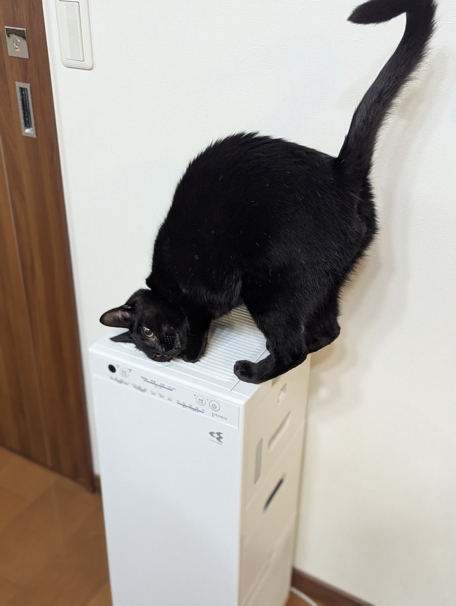 宵御前ページ 浮かれとんちき on X