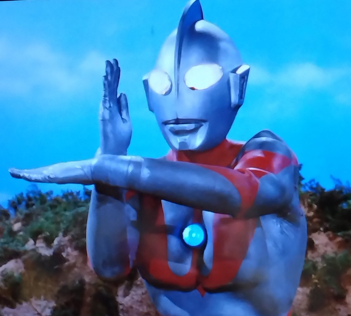 馬とロックとインコの翁(インコさん) on X