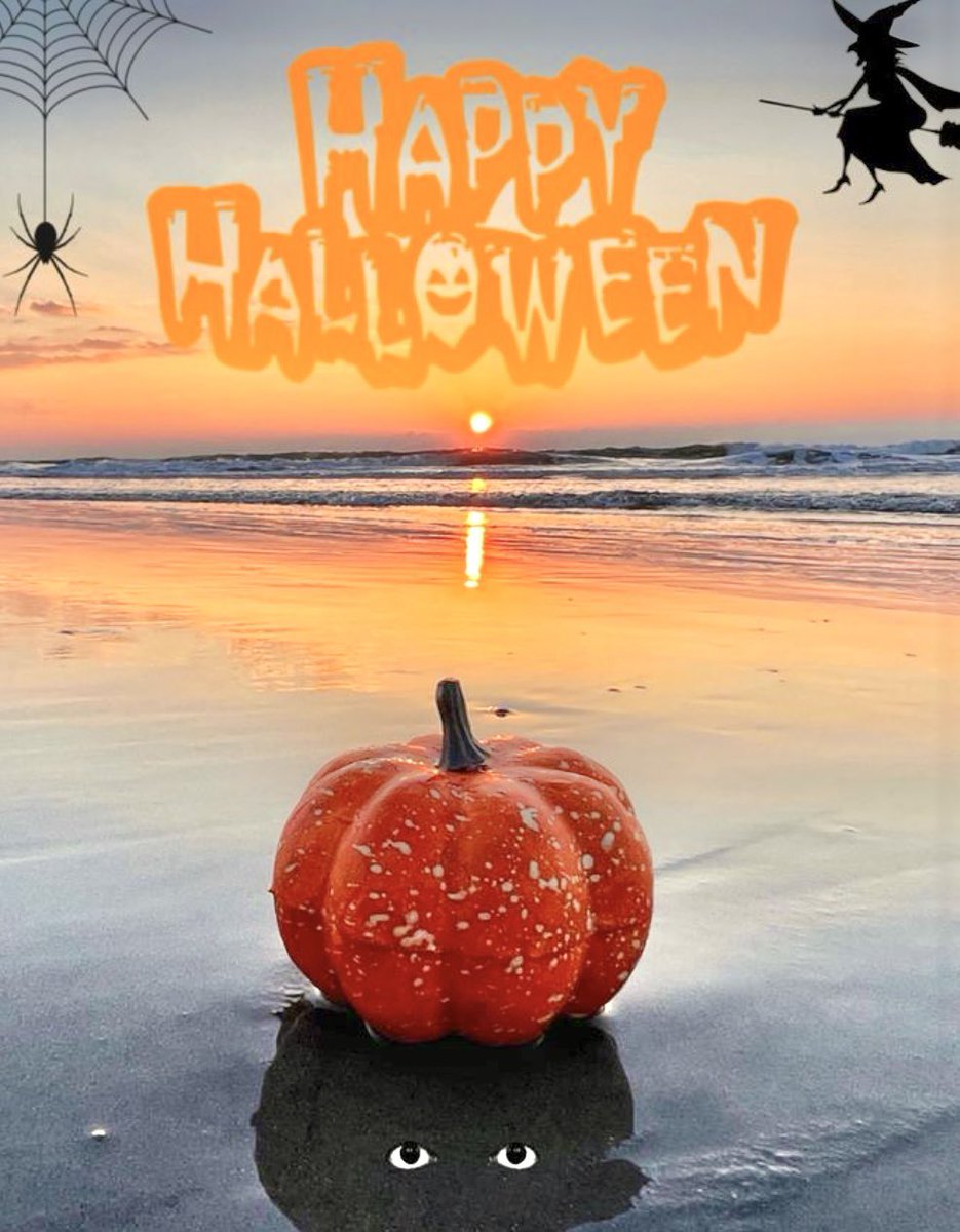 Platinum Vacations (@platinumdestin) on Twitter photo 