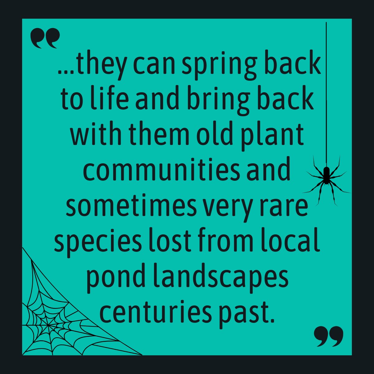 freshwaterbio's tweet image. Happy Halloween freshwater fiends! Do you believe in ghosts? How about ghost ponds? 👻

Please allow us to introduce you to a #GhostPond aficionado Carl Sayer for inspiring ponderings on the incredible power of ghost pond resurrections!

Check it out here: youtu.be/bT1FLPCjEPw