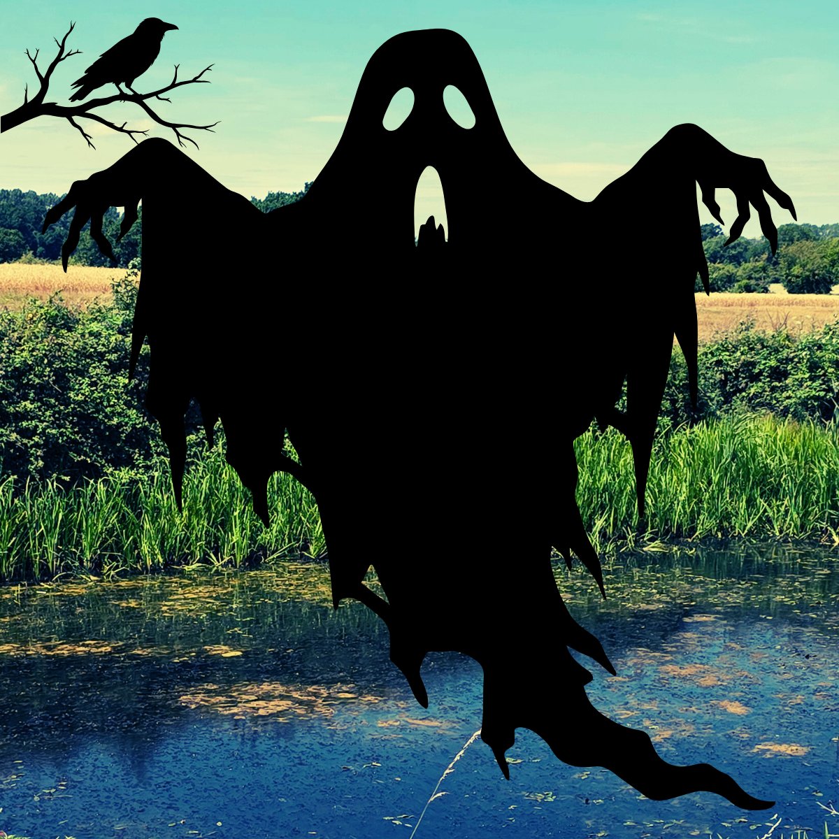 freshwaterbio's tweet image. Happy Halloween freshwater fiends! Do you believe in ghosts? How about ghost ponds? 👻

Please allow us to introduce you to a #GhostPond aficionado Carl Sayer for inspiring ponderings on the incredible power of ghost pond resurrections!

Check it out here: youtu.be/bT1FLPCjEPw