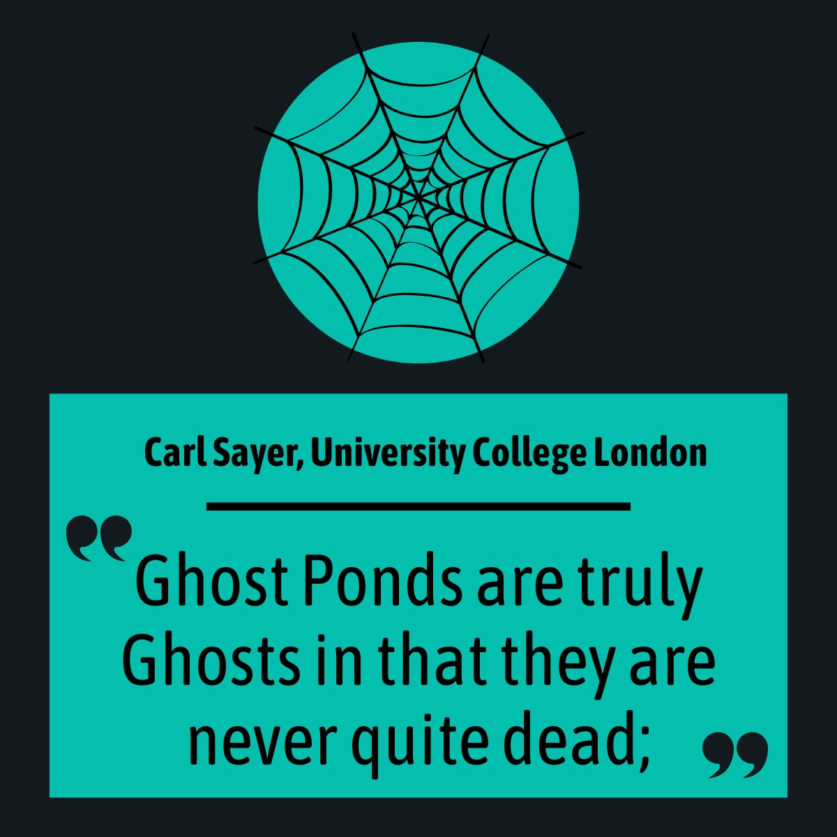 freshwaterbio's tweet image. Happy Halloween freshwater fiends! Do you believe in ghosts? How about ghost ponds? 👻

Please allow us to introduce you to a #GhostPond aficionado Carl Sayer for inspiring ponderings on the incredible power of ghost pond resurrections!

Check it out here: youtu.be/bT1FLPCjEPw