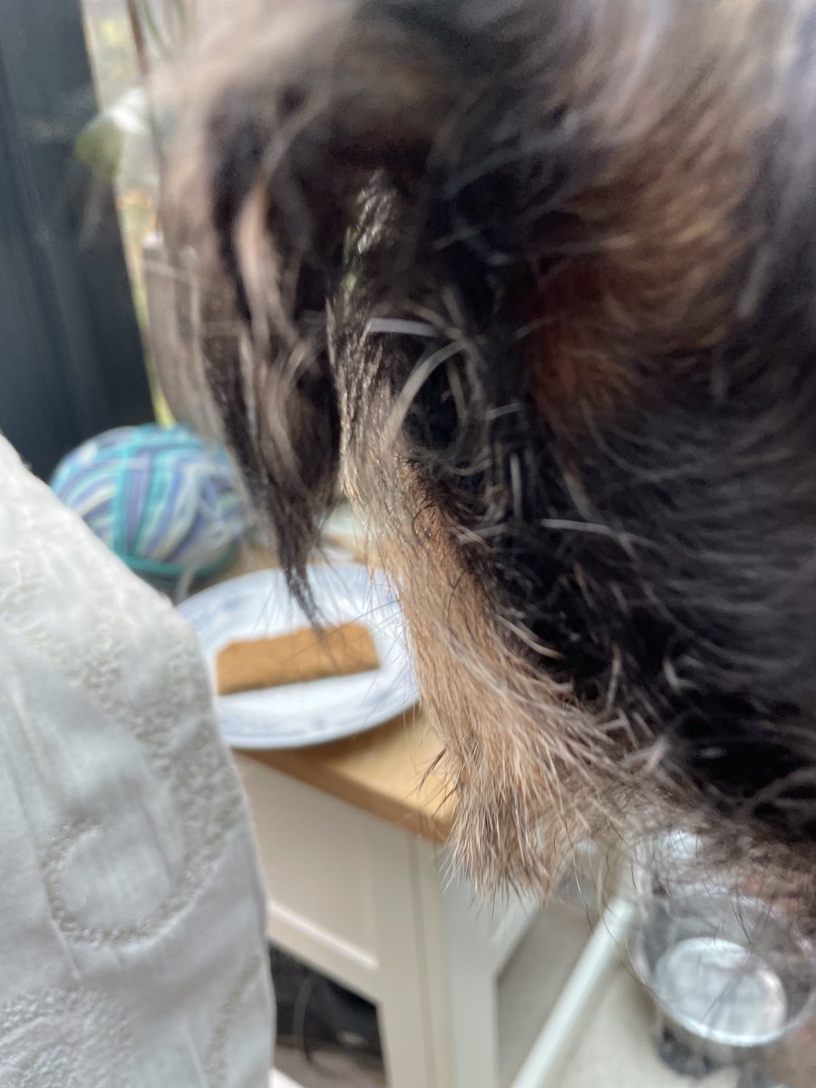 She has Grasmere gingerbread and thinks I don’t know #licks lips