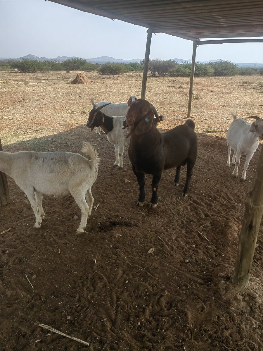 KGAUGELO wa Project Rescue (@soulfx_dj) on Twitter photo 