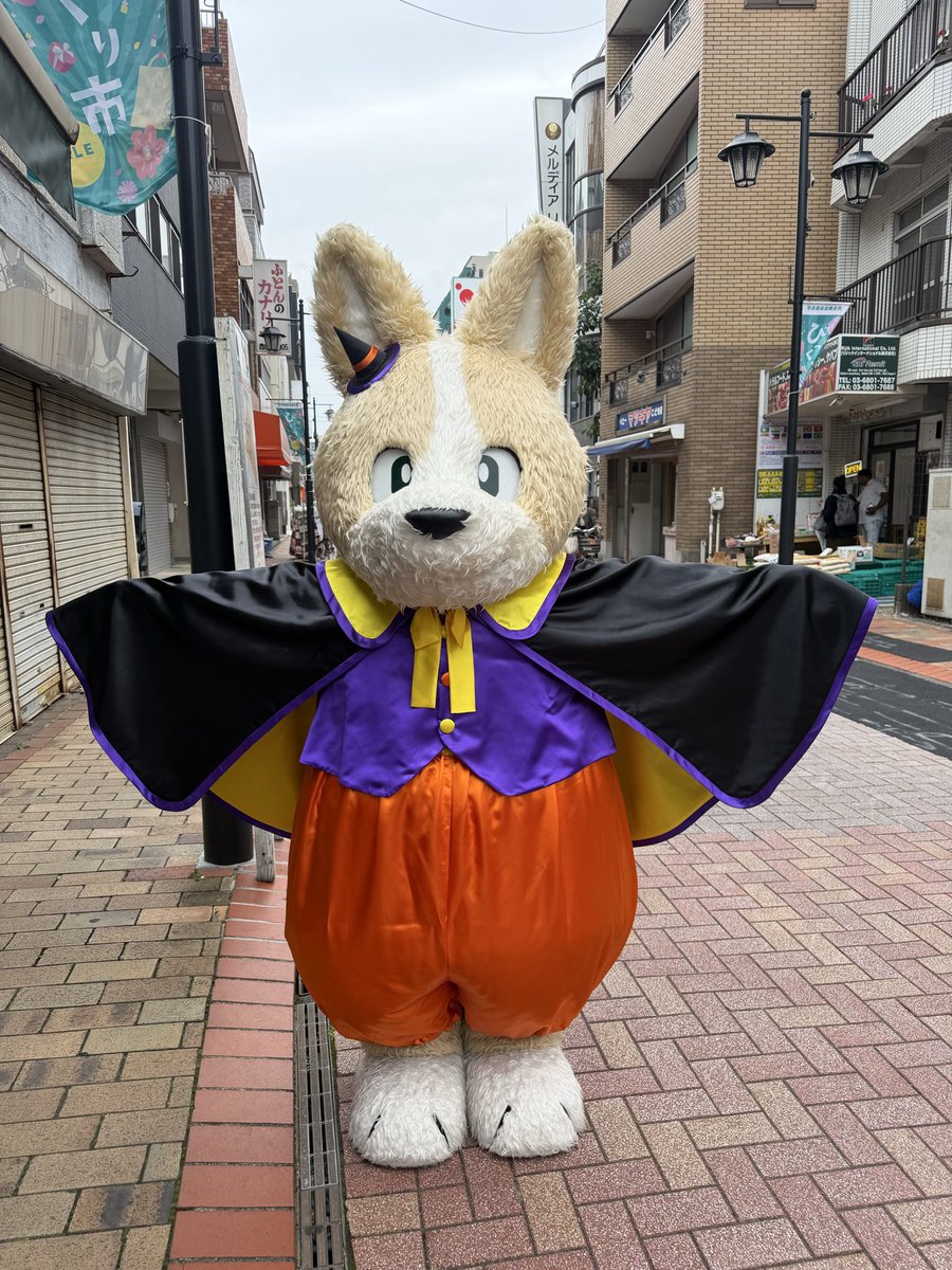 平井大さん、犬のキャラクターターフィドック ウクレレ マスコット 1点 平井大 サーフィードッグ 犬 キャラクター ぬいぐるみ