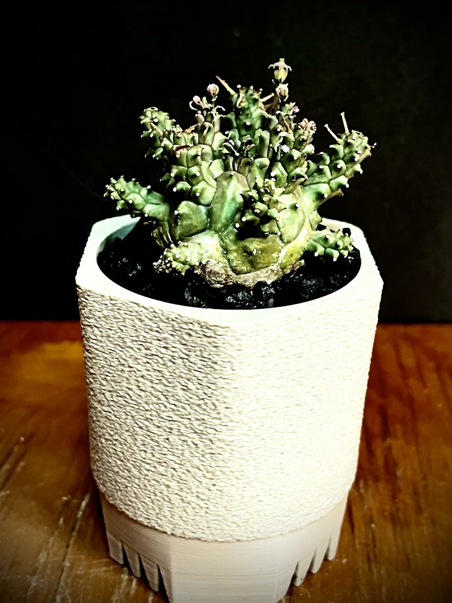 🍺プシュ！かんぱーい❤️ on X