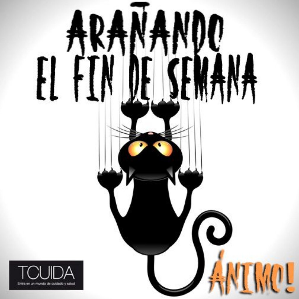 #ViernesdeChavorrucosconMiguel 🎶📻❤️🎃🎵 <a href="/YODEBUENAS/">Miguel Barrientos Mx</a> <a href="/YoAmoLa99/">AmoLa99 💙🎶📻 #YoAmoLa99</a> <a href="/La99fm/">La 99 FM</a> 👻
