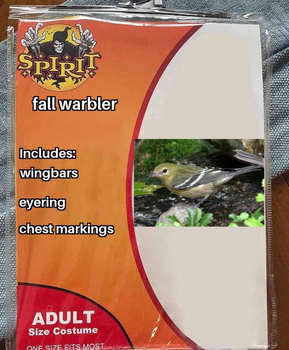 lights out for migrating birds (@lightsout4bird) on Twitter photo 