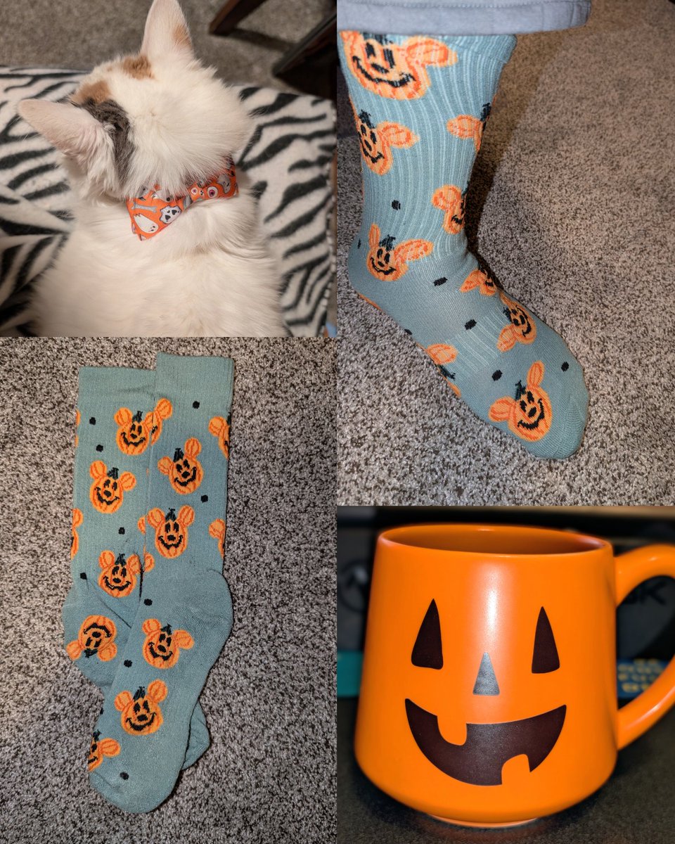 MCT_79's tweet image. Happy #Halloween and #FunSockFriday ! #HalloweenSocks