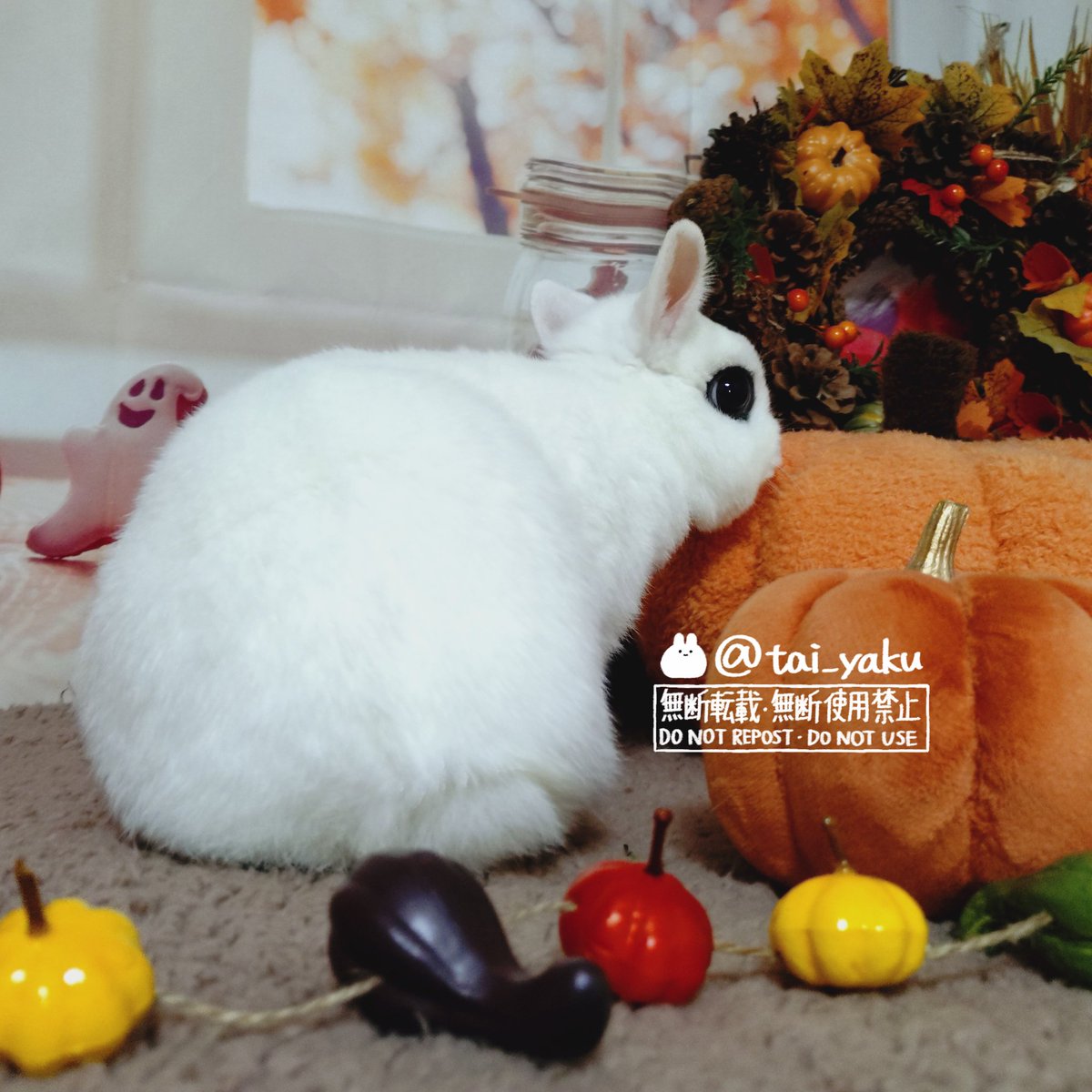 まるうさぎさま　おまとめ2点　オーガンジードッキングプルオーバー まるうさぎさま おまとめ2点 オーガンジードッキングプルオーバー