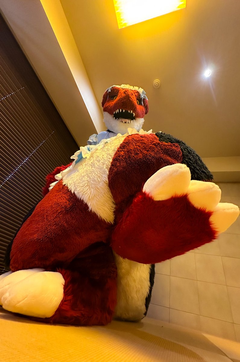 シャーチン( ¯꒳​¯ )ᐝ (@orca672200) / Posts / X