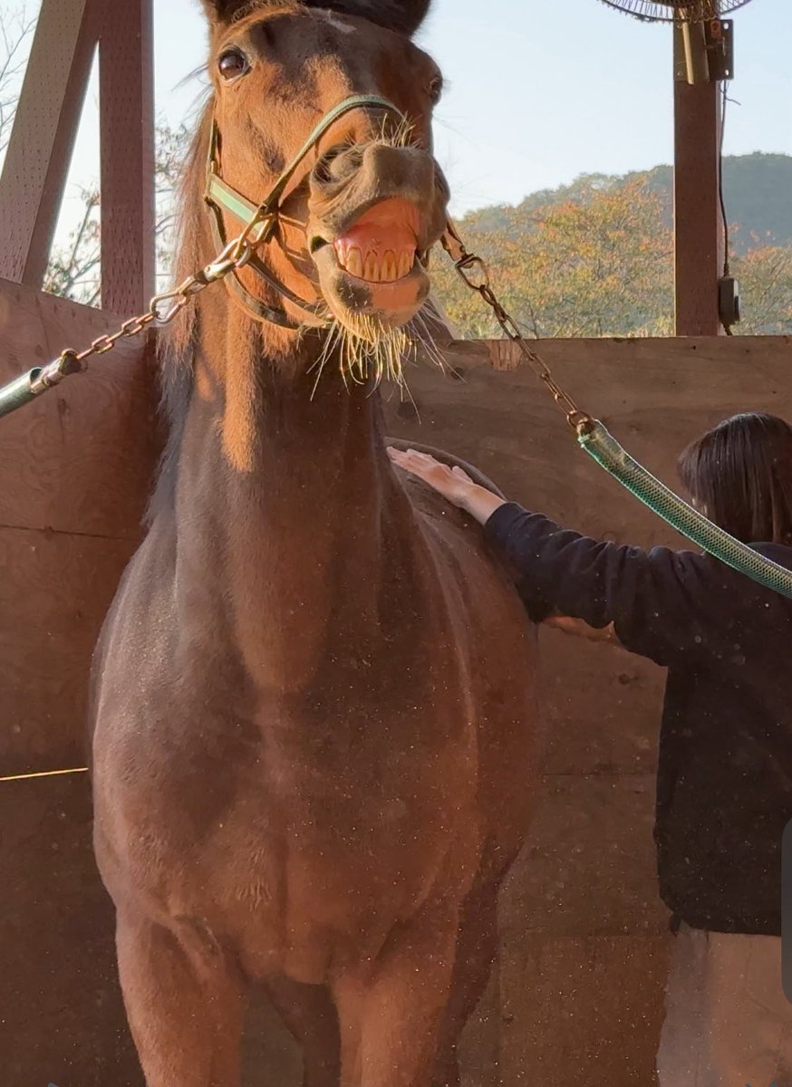 ヒュミドール(公式) (@humidor__) / Posts / X