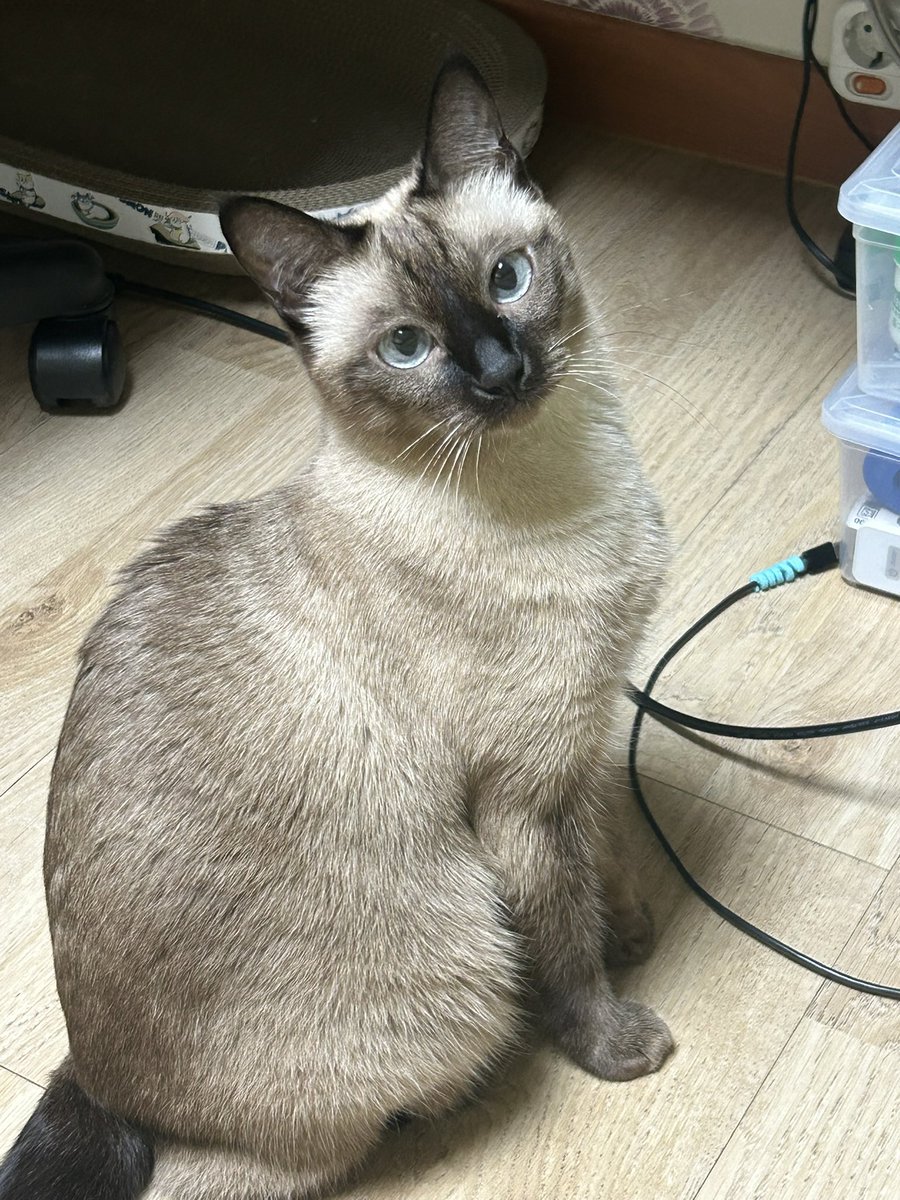 이브 아카이브 tweet media