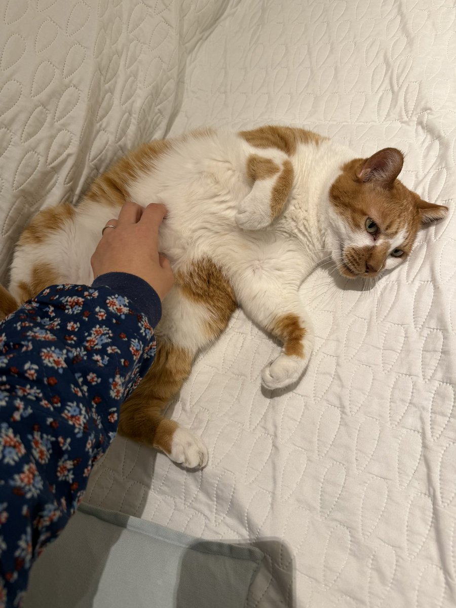 언니가 배만지는 걸 좋아하는 이응이