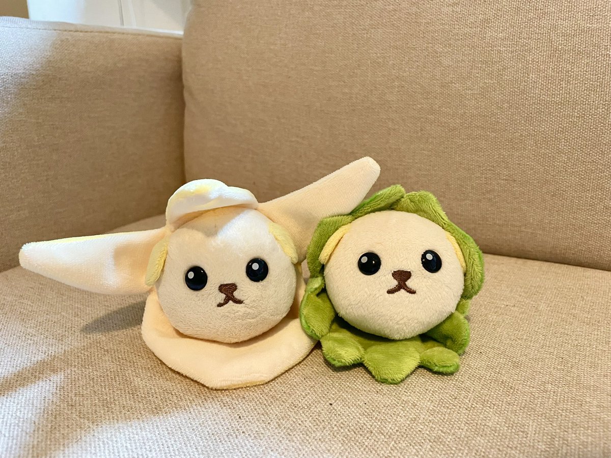 豆しば (@mame_official) / Posts / X