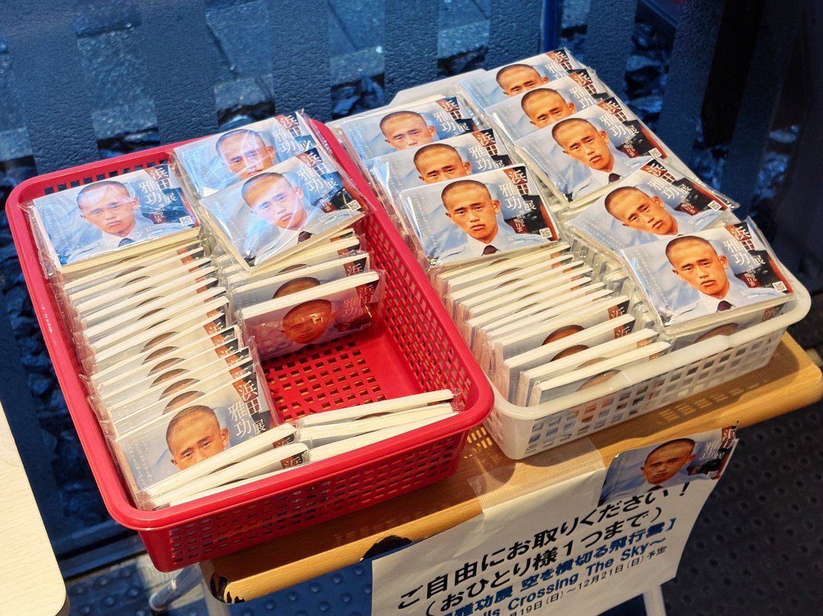 RYOMAさん　専用 大きいサイズ メンズ PUMA (プーマ) レザー メッシュ ローカット