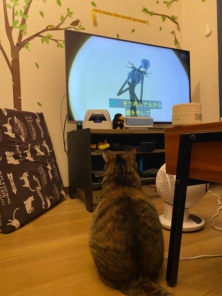 Yuze8587's tweet photo. 大人しく座ってみてる

#猫 #ねこ #猫かわいいね 
#金曜ロードショー 
#ナイトメア・ビフォア・クリスマス https://t.co/wEsv8y6GlZ