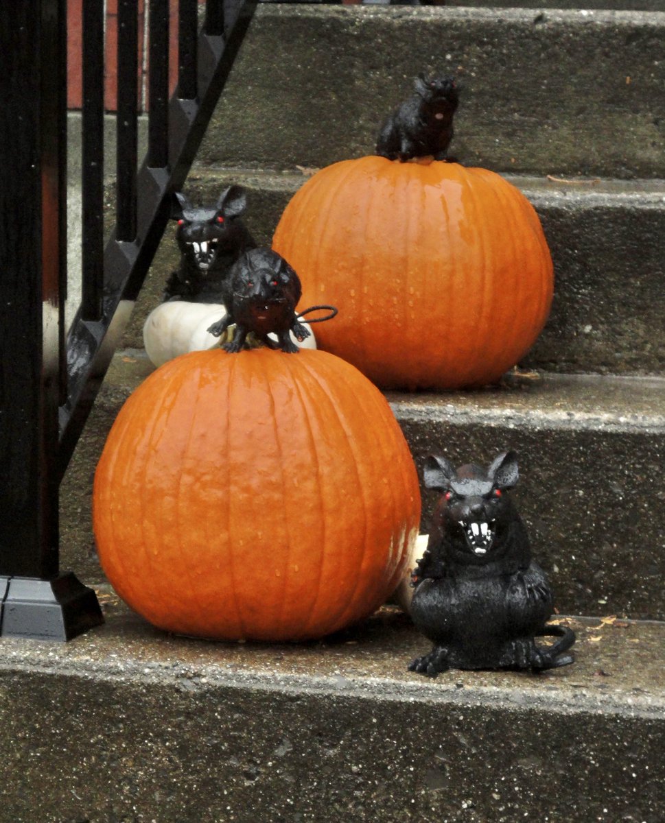 Happy Halloween! You never know who you’ll meet. Have a great one! #Halloween