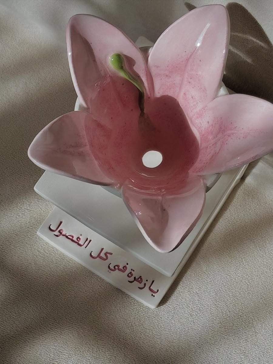 Wow أبييييييييه حالاً بسوي قهوتي فيه 🌷🌸💞🫦💗: