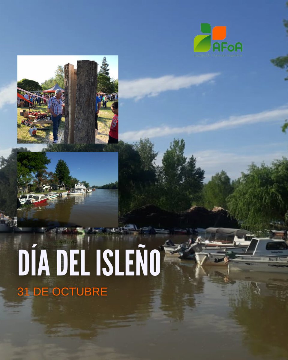 En el #DíaDelIsleño homenajeamos a quienes viven y trabajan en el Delta del Paraná 🌿
Allí, por iniciativa de Sarmiento, nacieron las primeras plantaciones forestales del país.
Cuna de nuestra historia y motor de un futuro sostenible