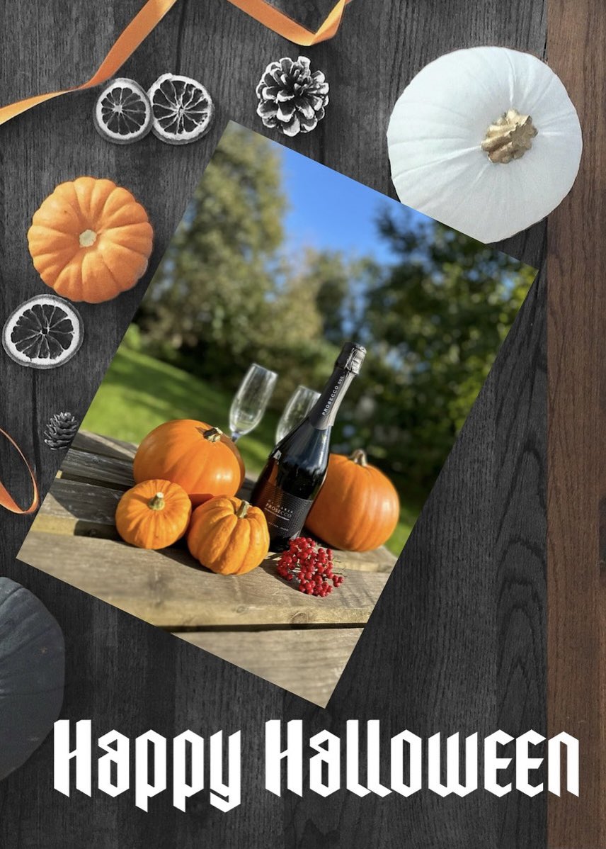 Warcombe Farm Camping Park tweet media