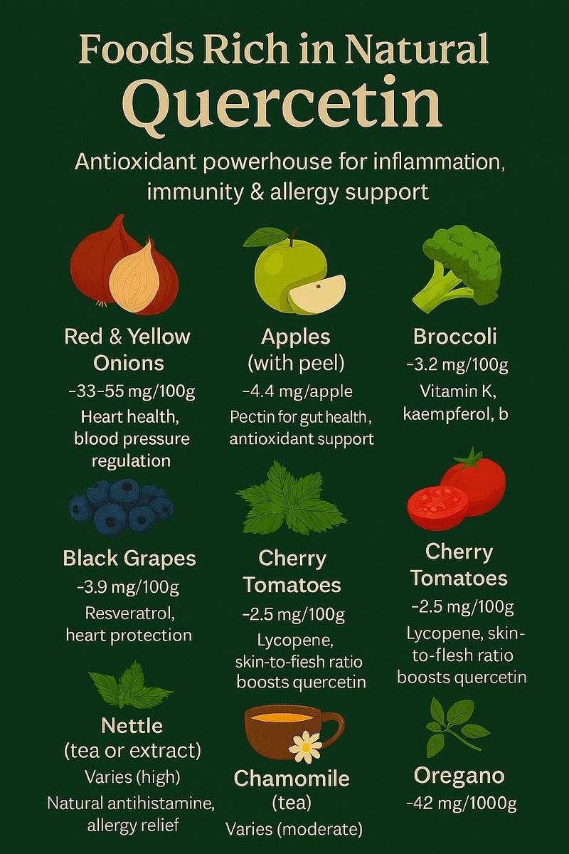 Did you know quercetin is hiding in some unexpected places? What’s even cooler is that quercetin can cross the blood–brain barrier, so researchers are eyeing it for brain health. It also helps shuttle zinc into cells, which is why it’s being studied for antiviral effects. 

And