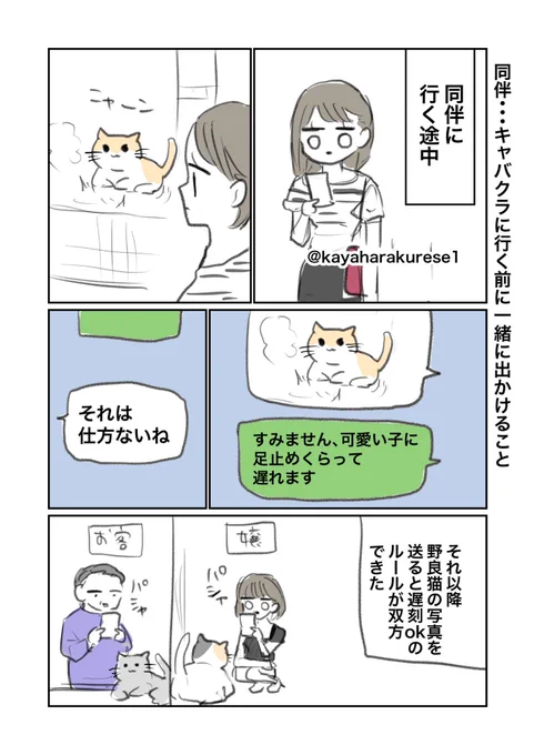 【キャバクラ体験談】🐱 