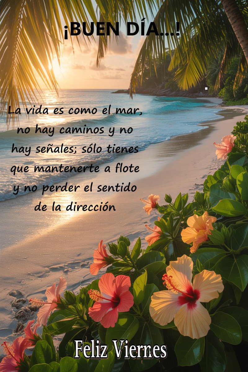 Amiga…
Amigo…
¡BUEN DÍA…!
🌊 La vida no viene con mapa ni brújula… solo con el impulso de seguir adelante 💫
No siempre hay caminos marcados, pero mientras mantengas el rumbo y no te hundas, llegarás a buen puerto ⚓️
#Reflexión #Vida #Motivación #Inspiración #Superación