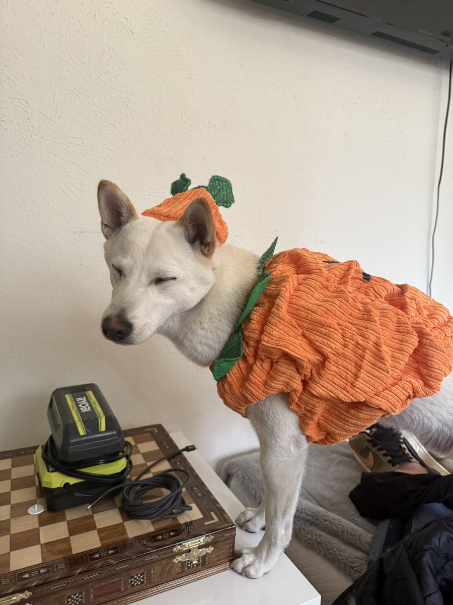 fxnction tweet media