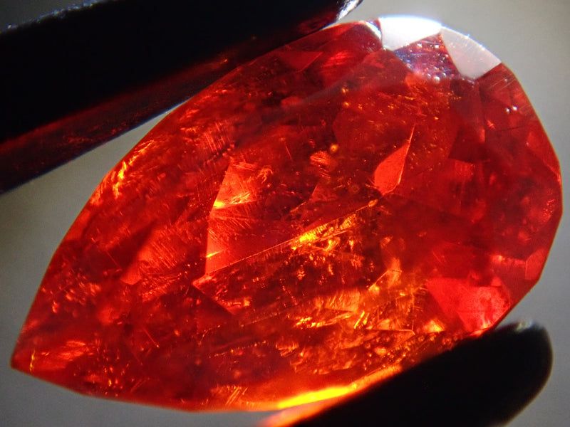 KARATZ公式💎11/21(金) ~11/27(木)新宿マルイアネックス1Fにて