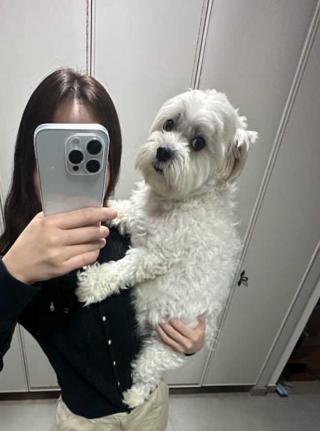 jungwoniche's tweet photo. what the actual FUCK i didn't know maeumi was this BIG??????? https://t.co/nrxUNfX616