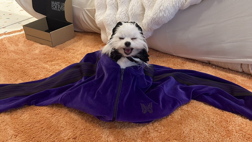 かわいーぬ スウェット かわいーぬ本舗