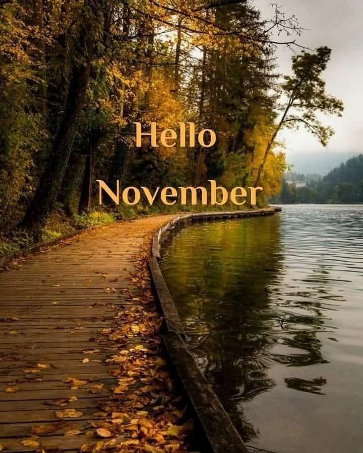 غداً بداية نوفمبر..
 شهر جديد  : ( 11/1/ 2025 )
يارب أكتب لنا الخير والسعادة والتوفيق فيه واجعله بداية أجمل الأقدار وحقق لنا مانتمنى
يارب فرج قريب ، وفرح قريب ورزق قريب ويُسر قريب