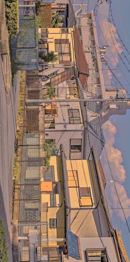 toyomt's tweet image. 20時に勉強 🐞