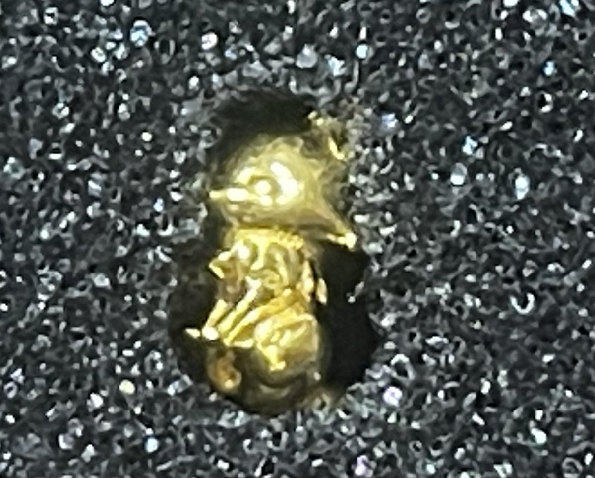 お土産に頂いた純金のこんのすけ(2g)私のカメラではこれが限界なんだけどちゃんとこんのすけがお座りしてる😌