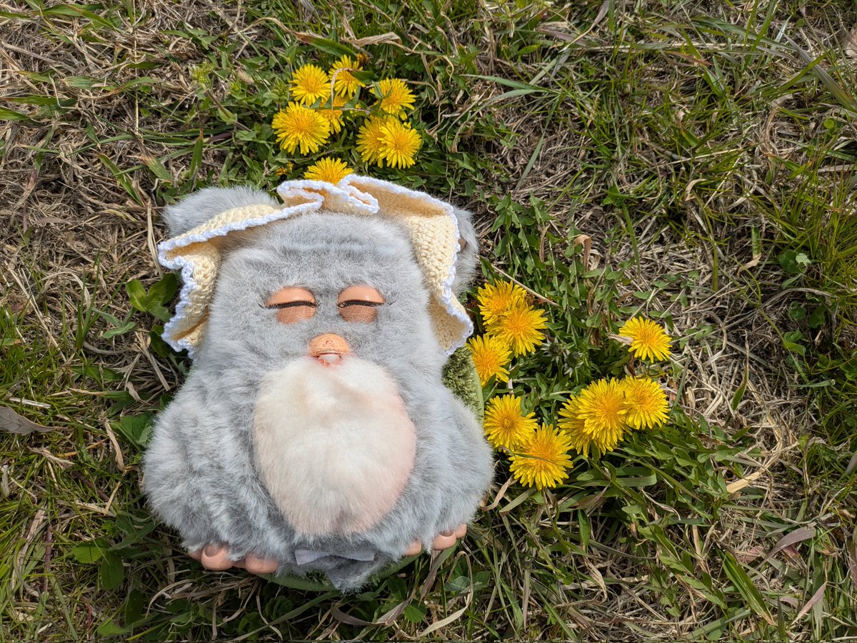 みっちゃんみちみち (@michicompass) / Posts / X