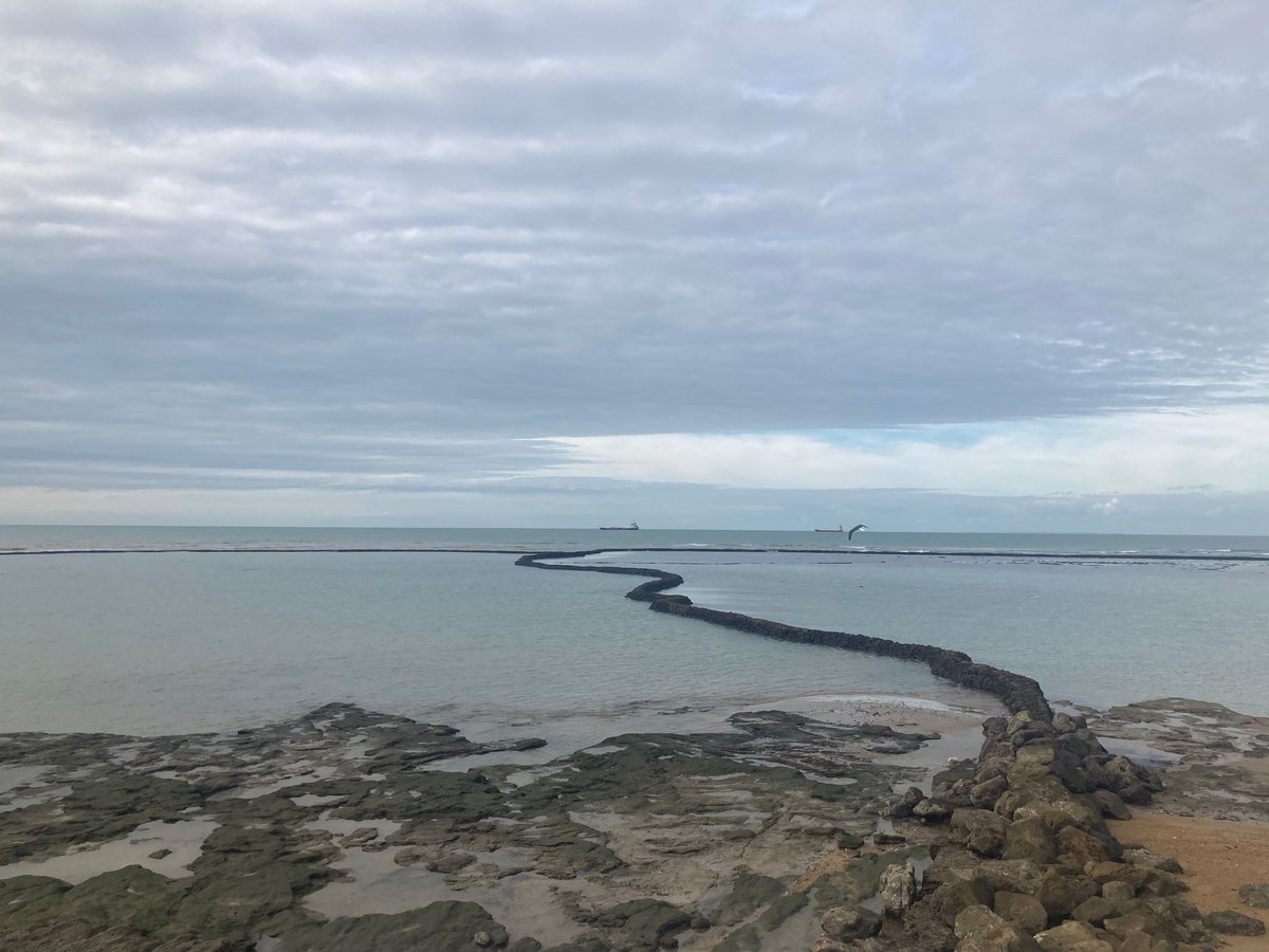 Boa tarde, xente salgada!
(Corrales de Chipiona)