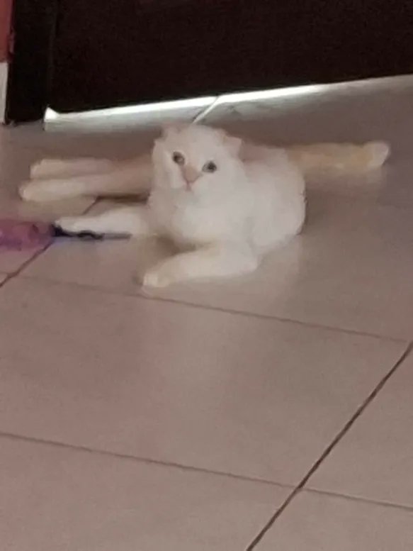 KuzaKiwami's tweet image. 136