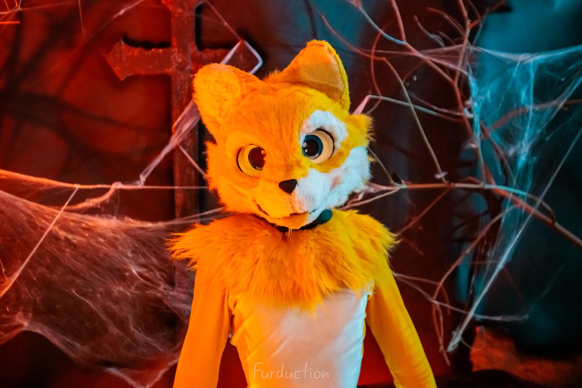 Mitailsu tweet media