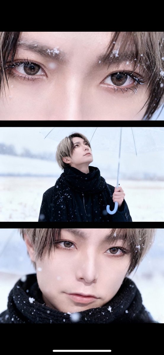 SLHのカラス ໒꒱ (@slh_karasu_) / Posts / X